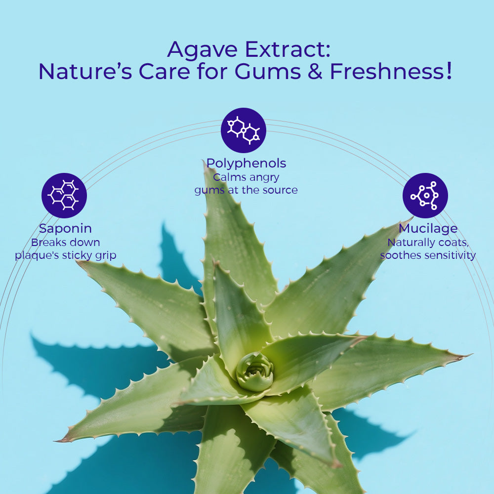 [2 PCS] Agave Natural + Whitening Teeth Toothpaste [Fluoride-Free+Niacinamide]